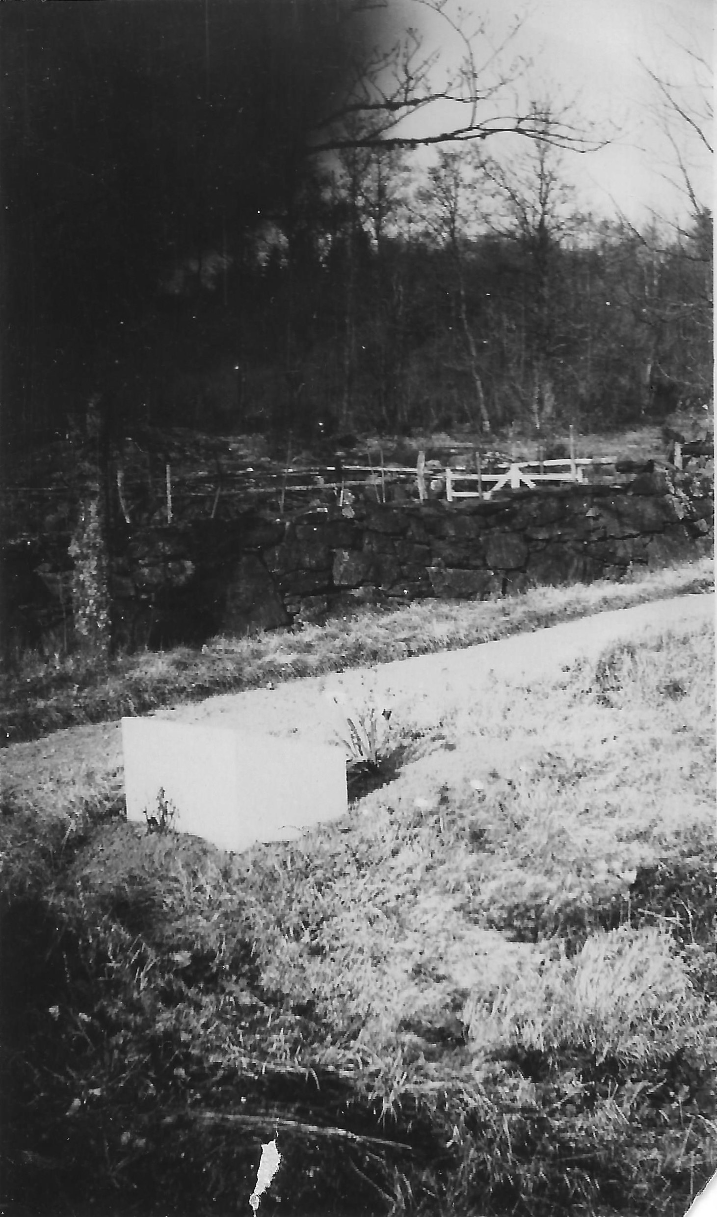 Abrahamsson 0036
