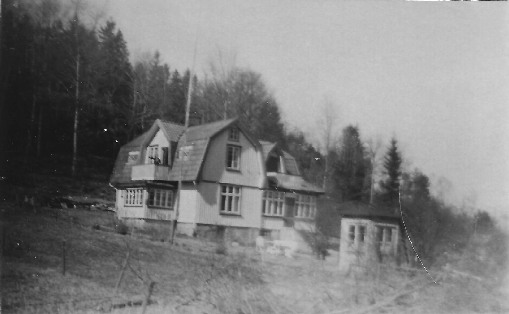 Abrahamsson 0065