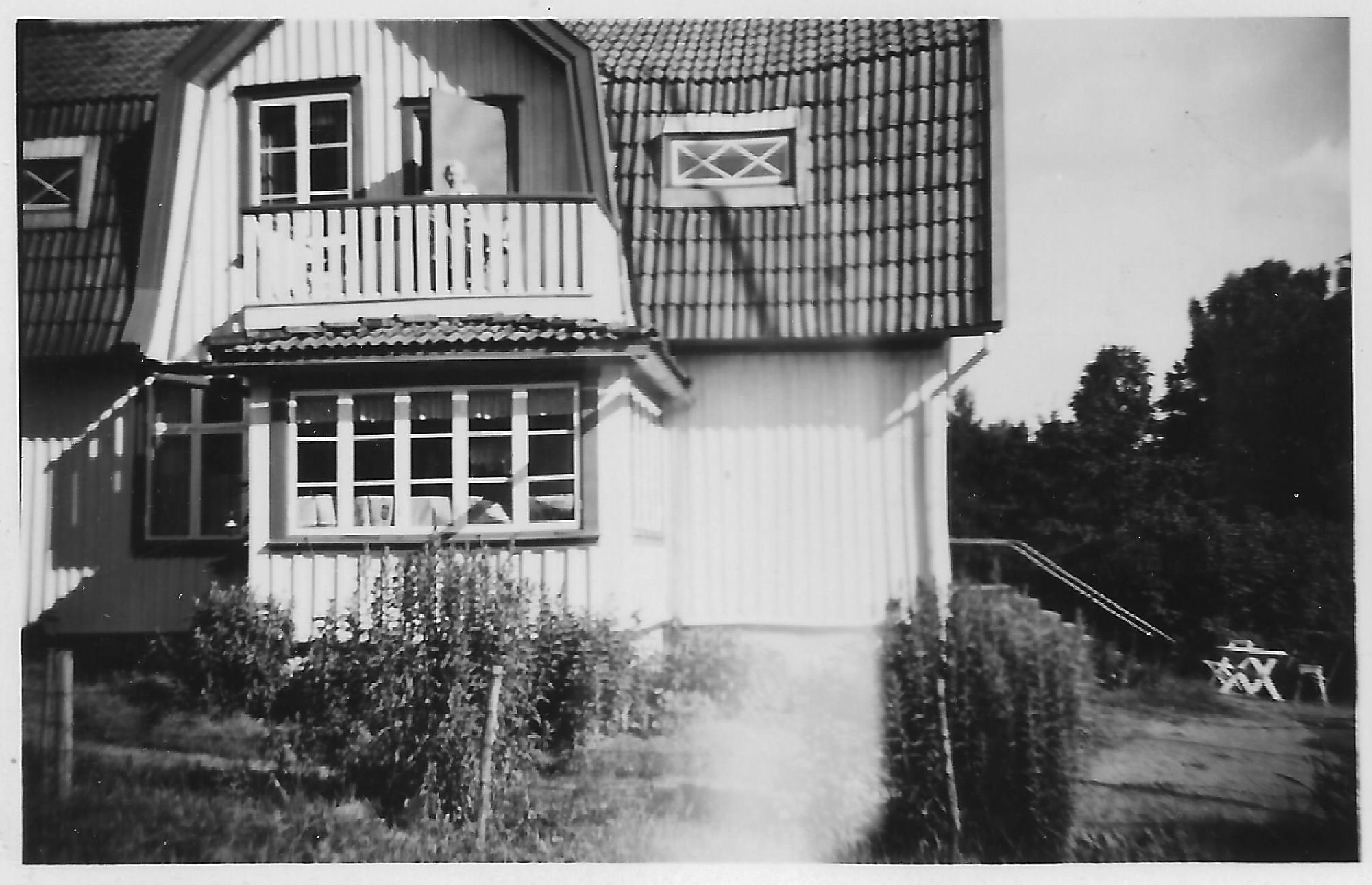 Abrahamsson 0087